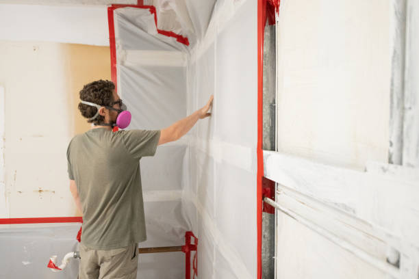  , TN Mold Removal Pros